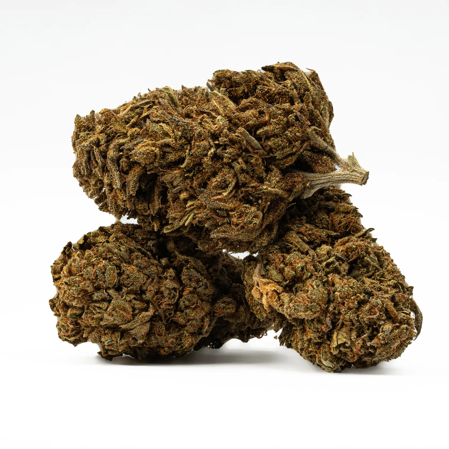 Golden Haze (A) - Image 2