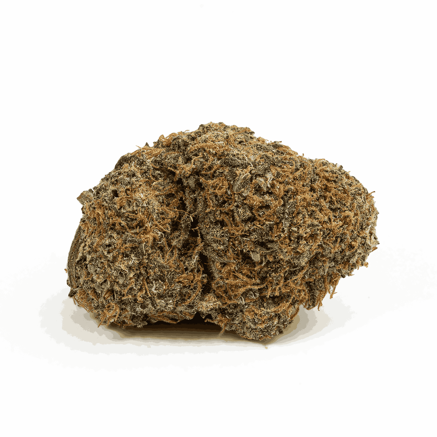 Lemonberry (AAA) - Image 3