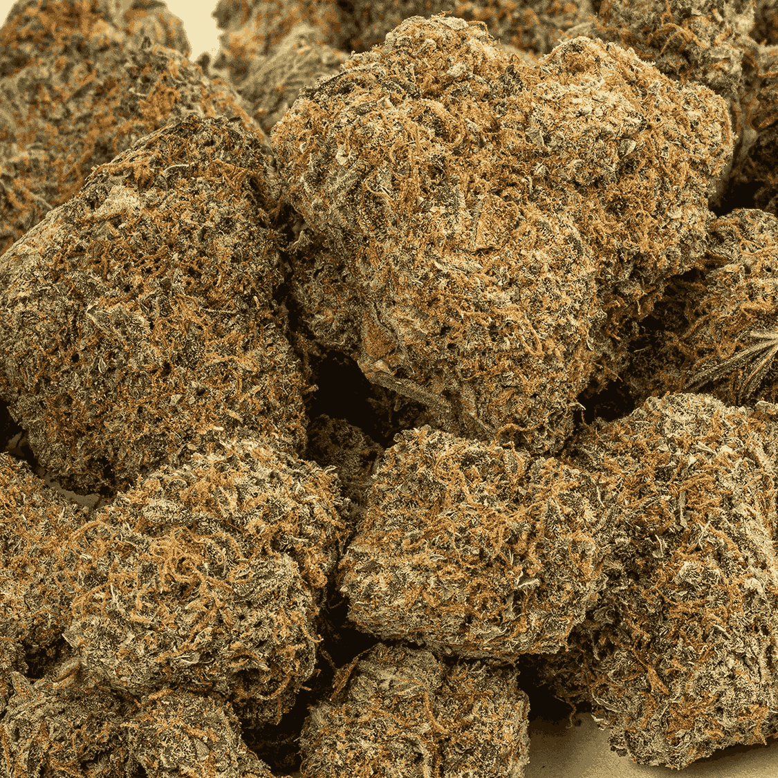 Lemonberry (AAA) - Image 4