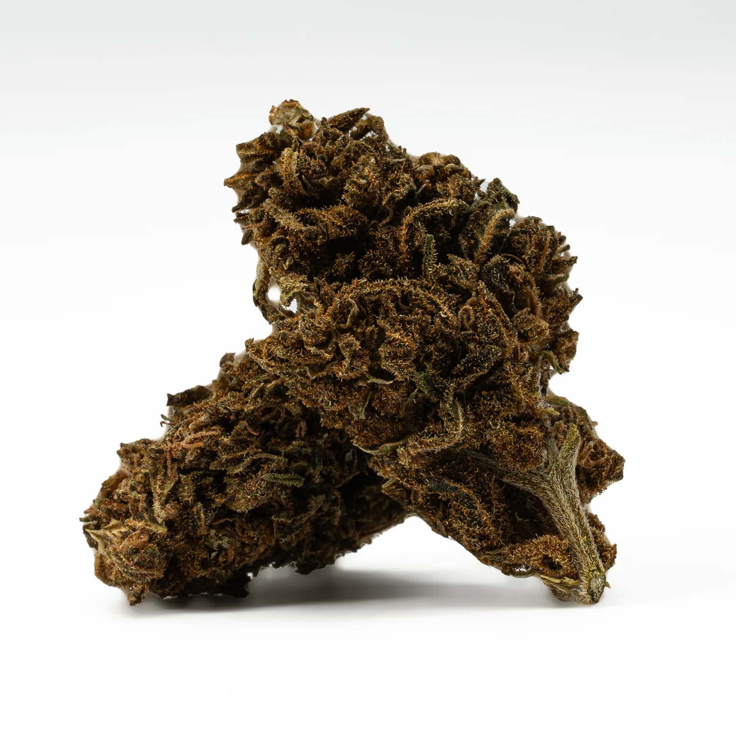 Mango Tango (A) - Image 2