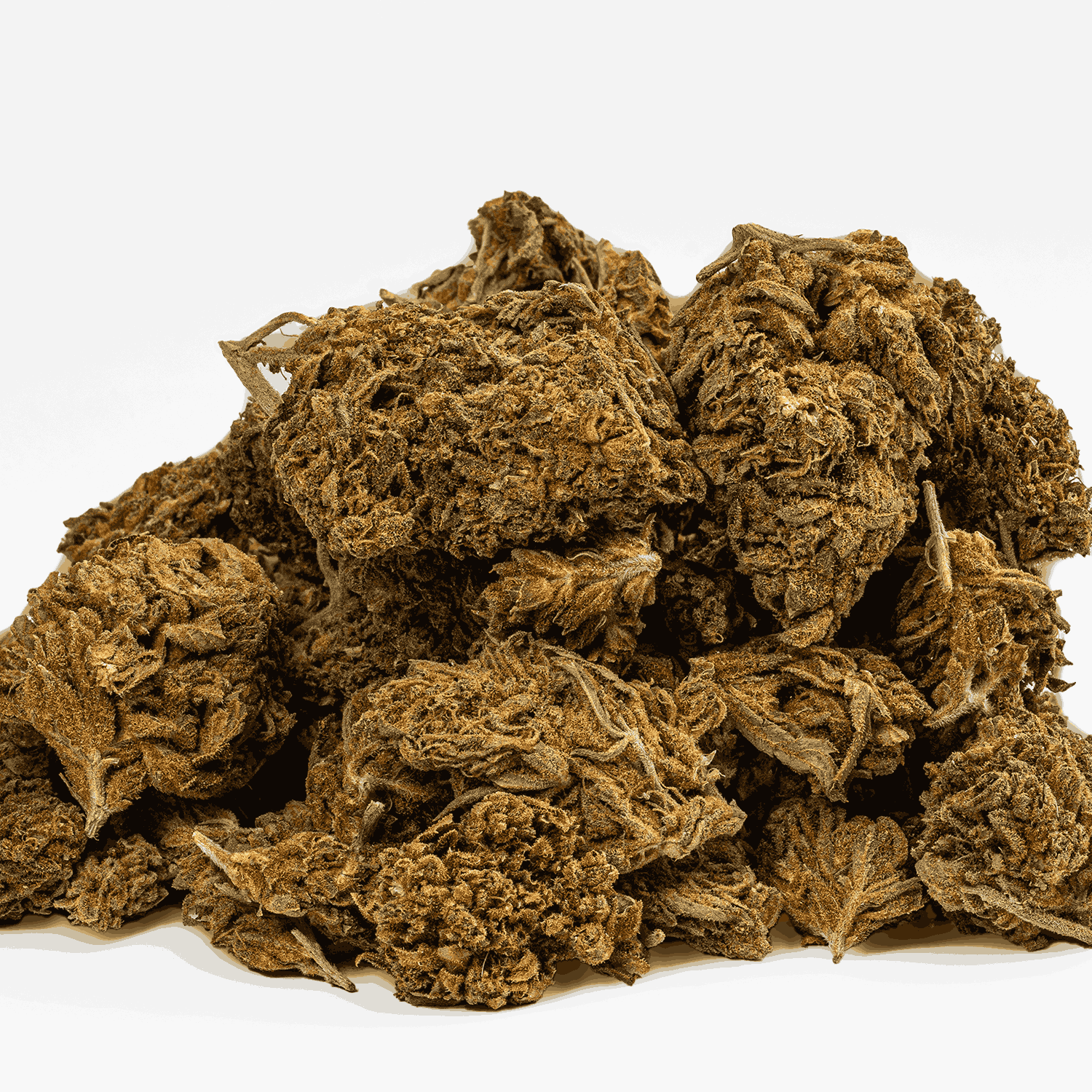 Odyssey (A) - Image 4