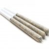 House Pre-Rolls 2g (Live Soil) - Master Kush