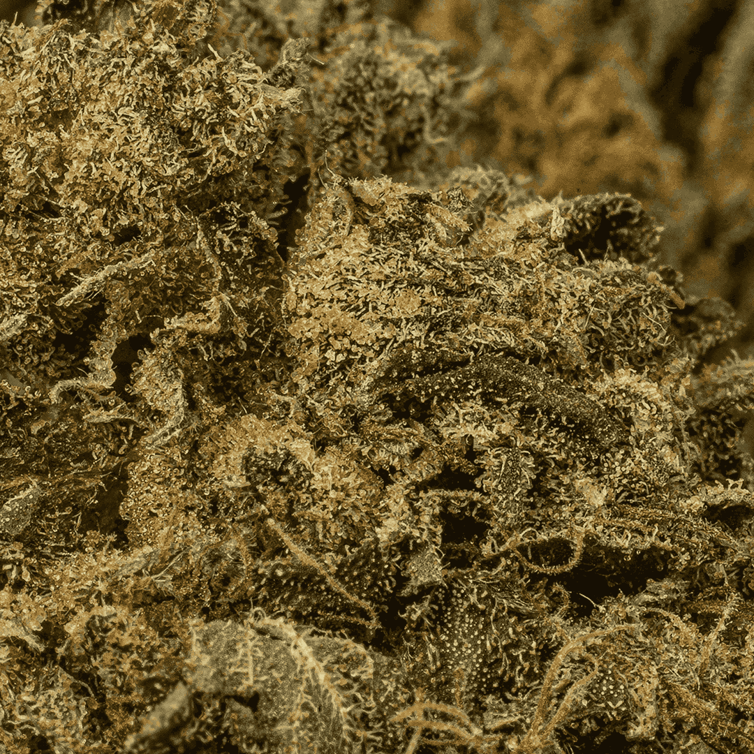 AK-47 (AAA) - Image 5