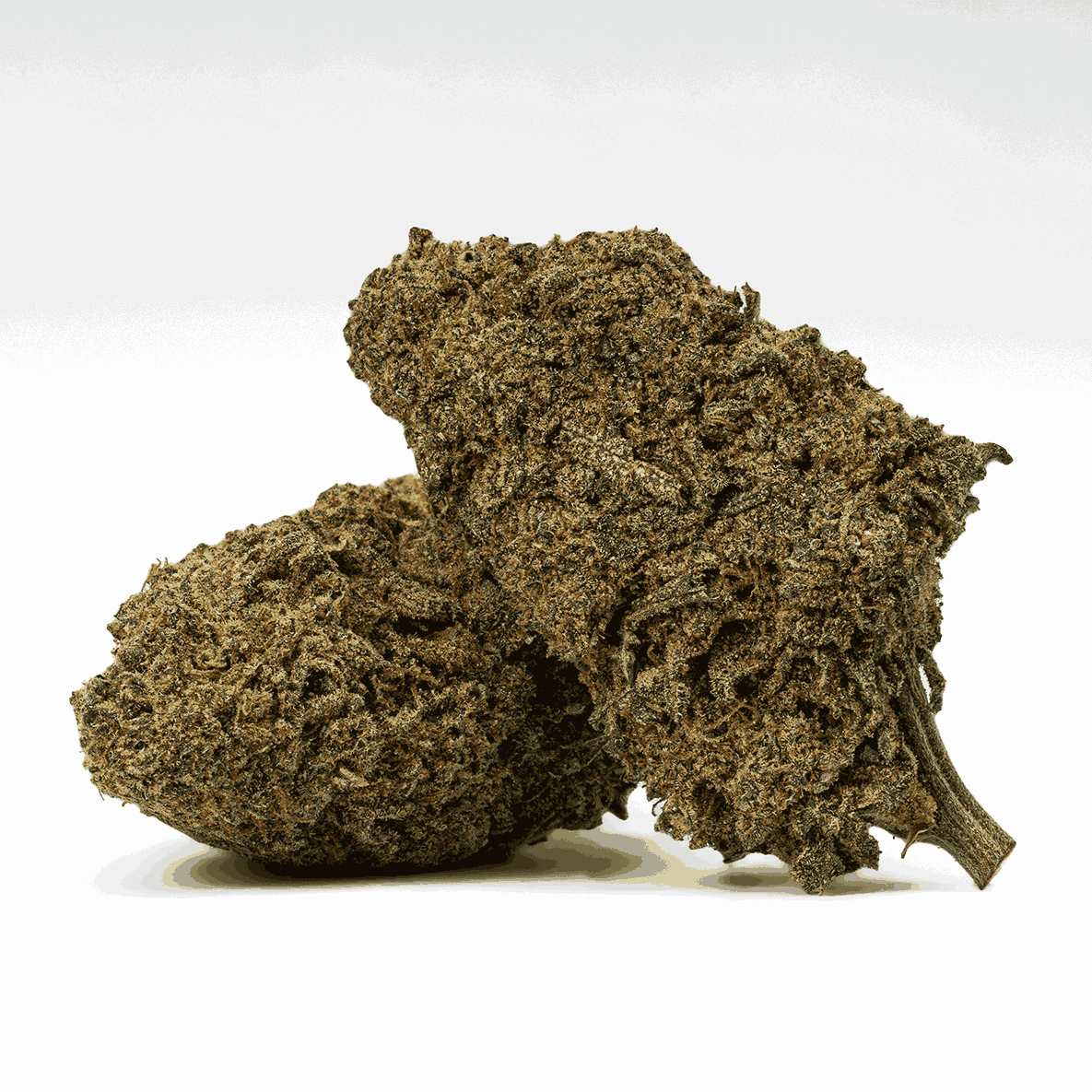 Alaskan Thunder Fuck (AA+)