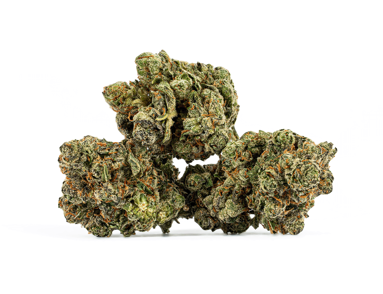 Alien Tits (AAA+) - Image 2