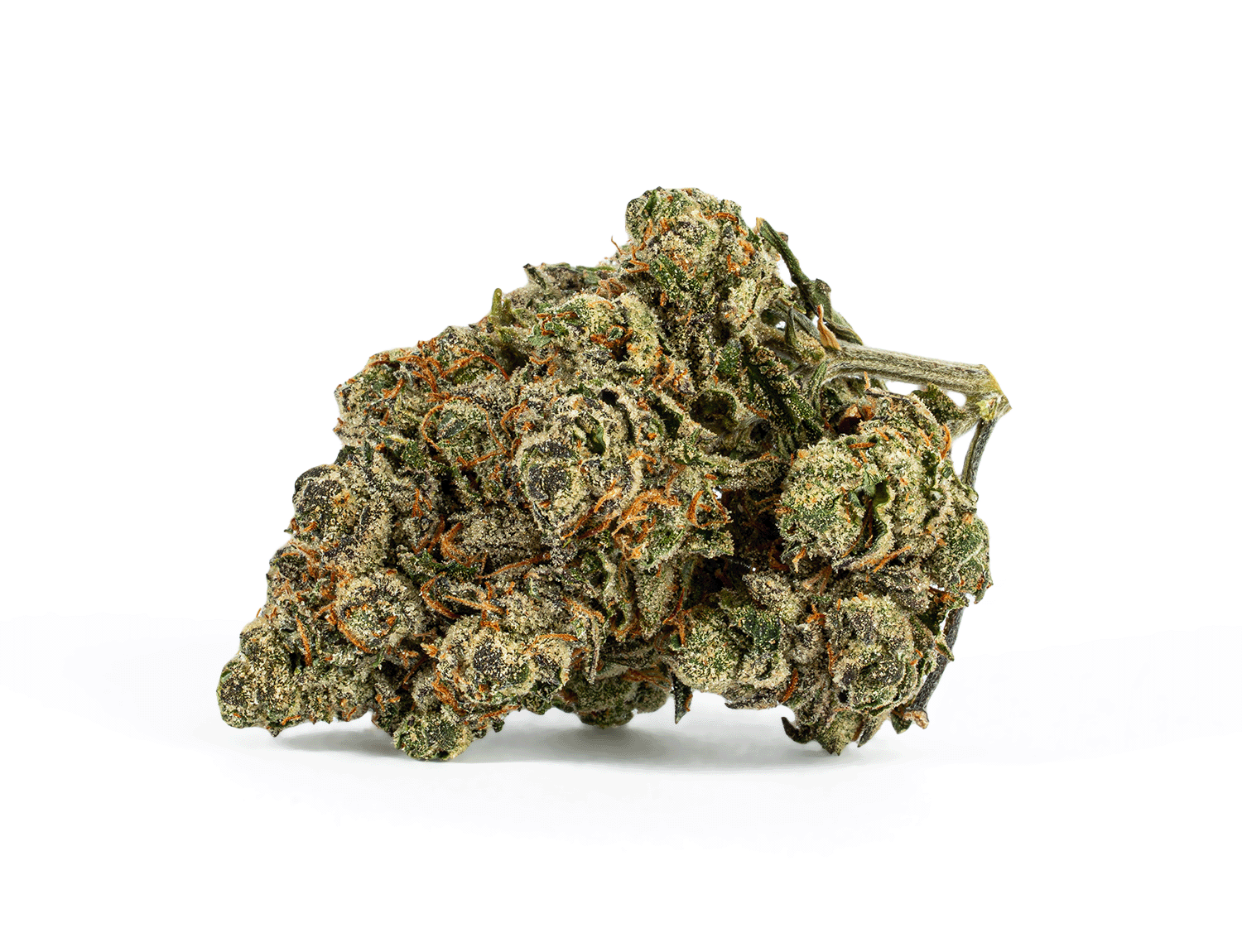 Alien Tits (AAA+) - Image 3