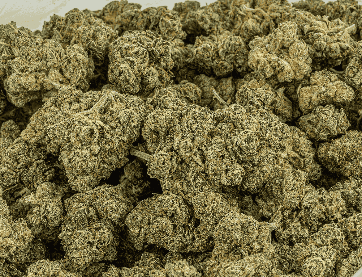 Alien Tits (AAA+) - Image 4