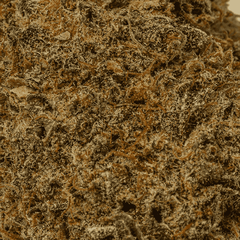 Matrix (AA+) - Image 5