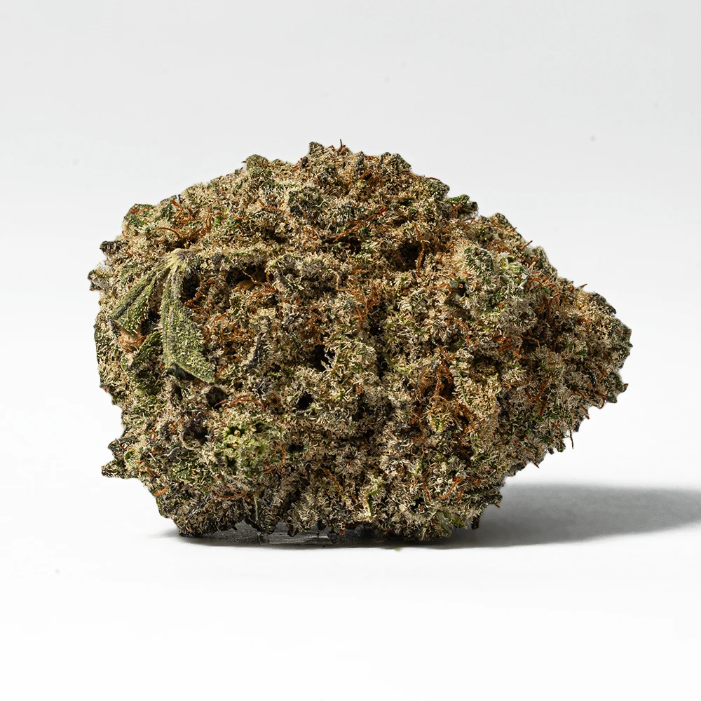 Gorilla Glue (AAA+) - Image 3