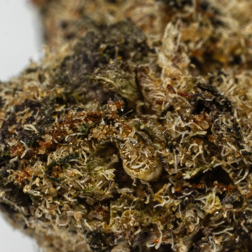 (Smalls) Oreoz (AA) - Image 4