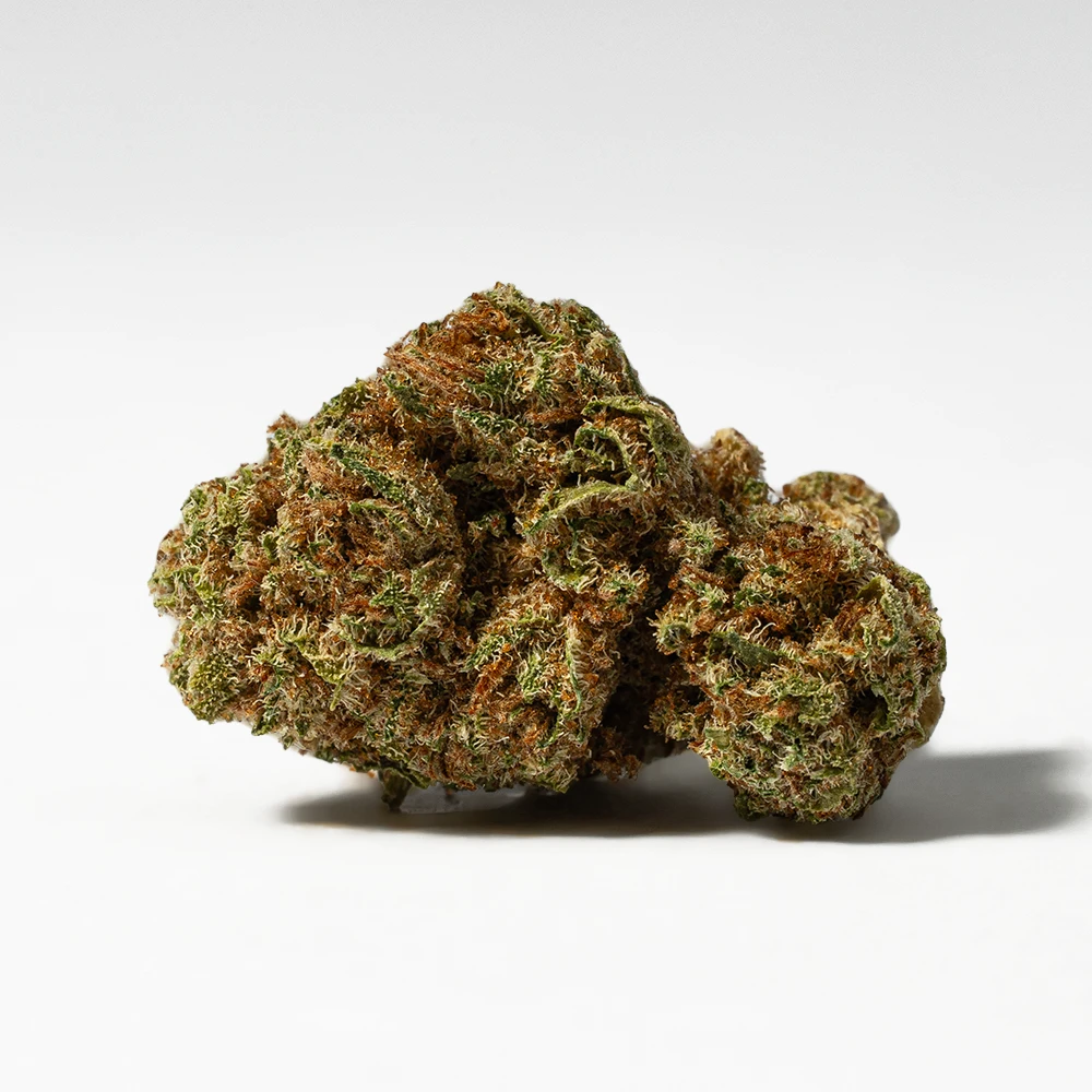 (Smalls) Raspberry Parfait (AA) - Image 2