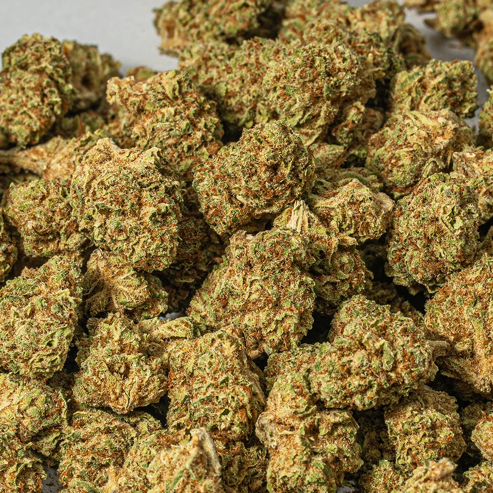 (Smalls) Raspberry Parfait (AA) - Image 4