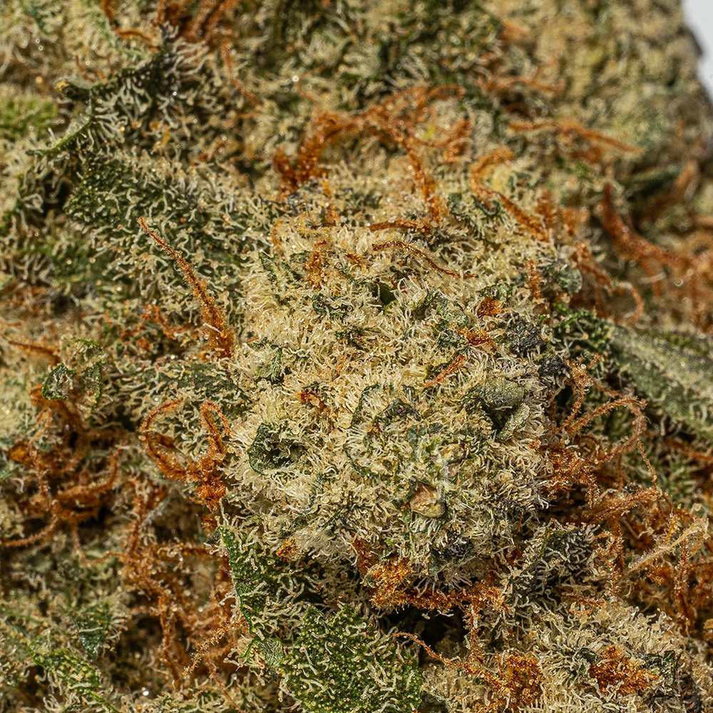 Birthday Cake (AAAA+) - Image 4