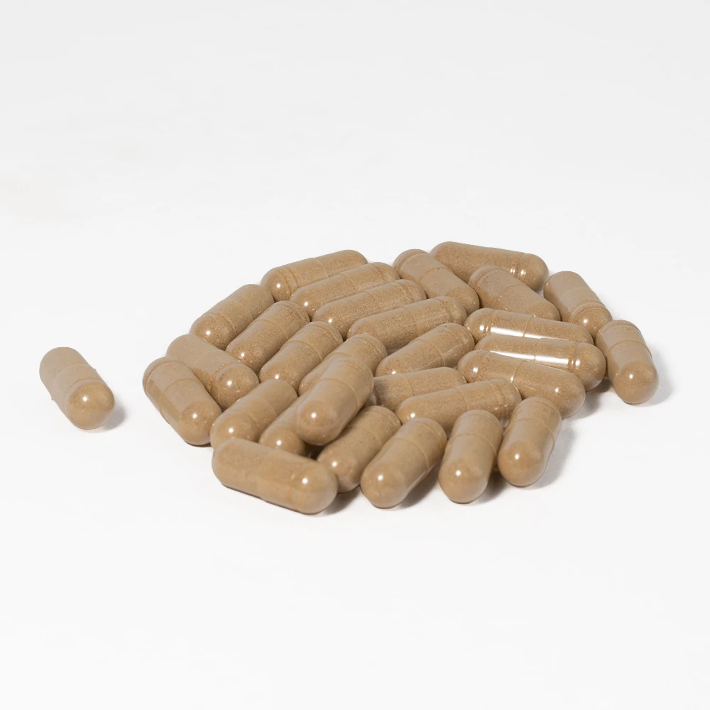 Shroomology Microdose Capsules - Daylight - Image 4