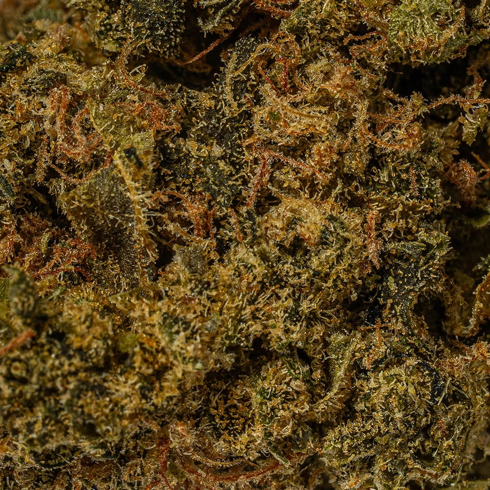 Strawberry AA (Promo) - Image 5