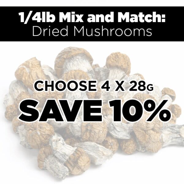 1/4lb Mix and Match Dried Mushrooms