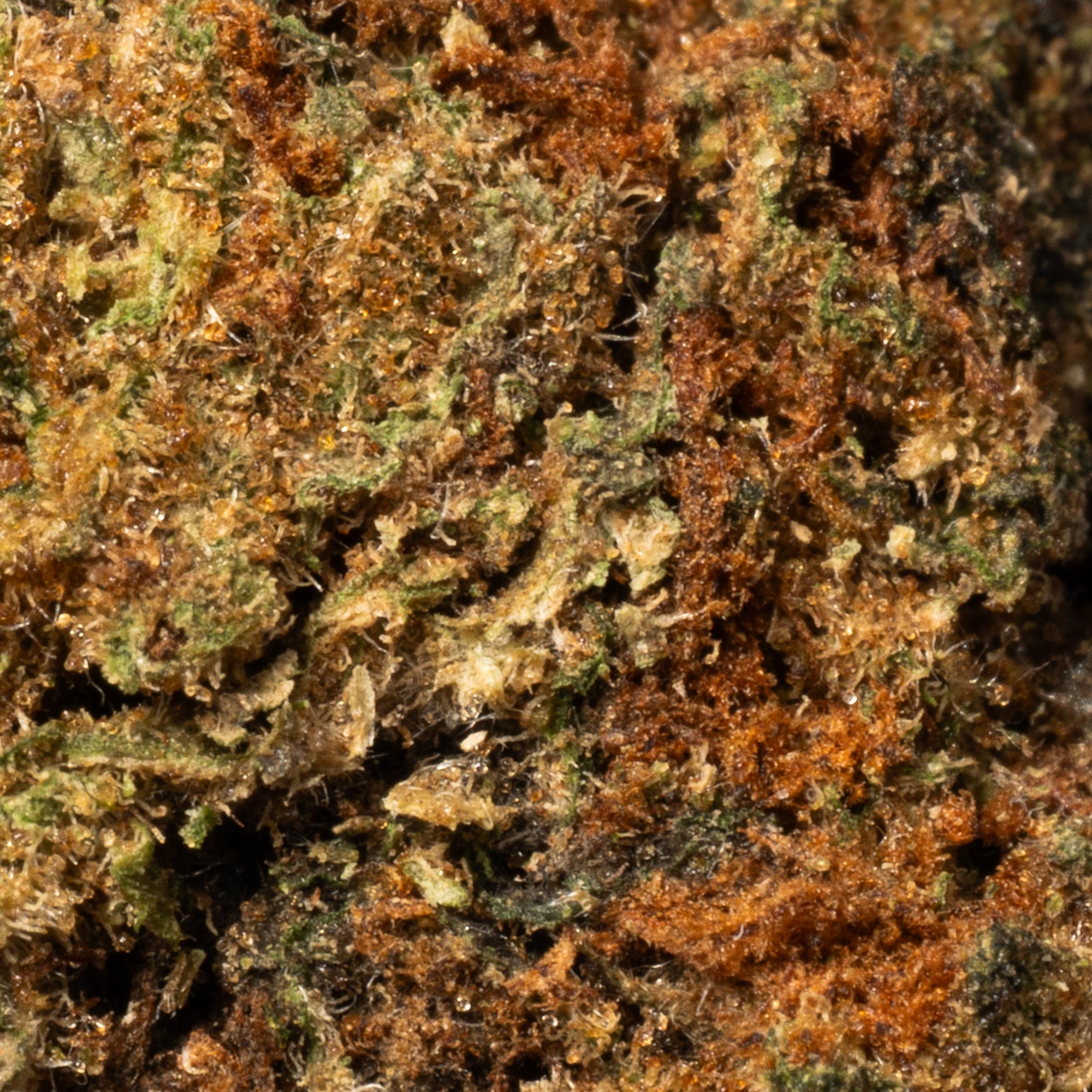 Strawberry AA (Promo) - Image 3