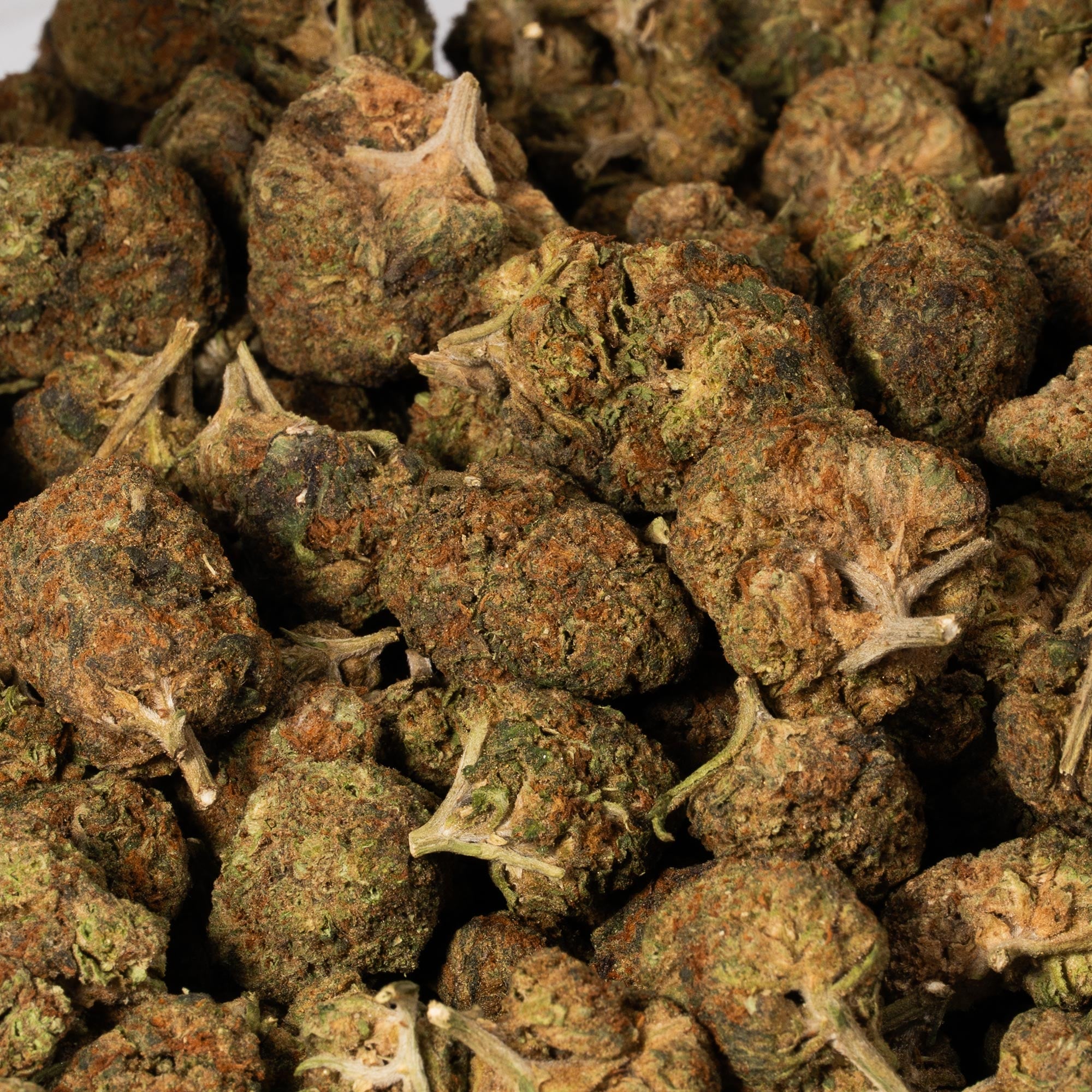 Strawberry AA (Promo) - Image 5