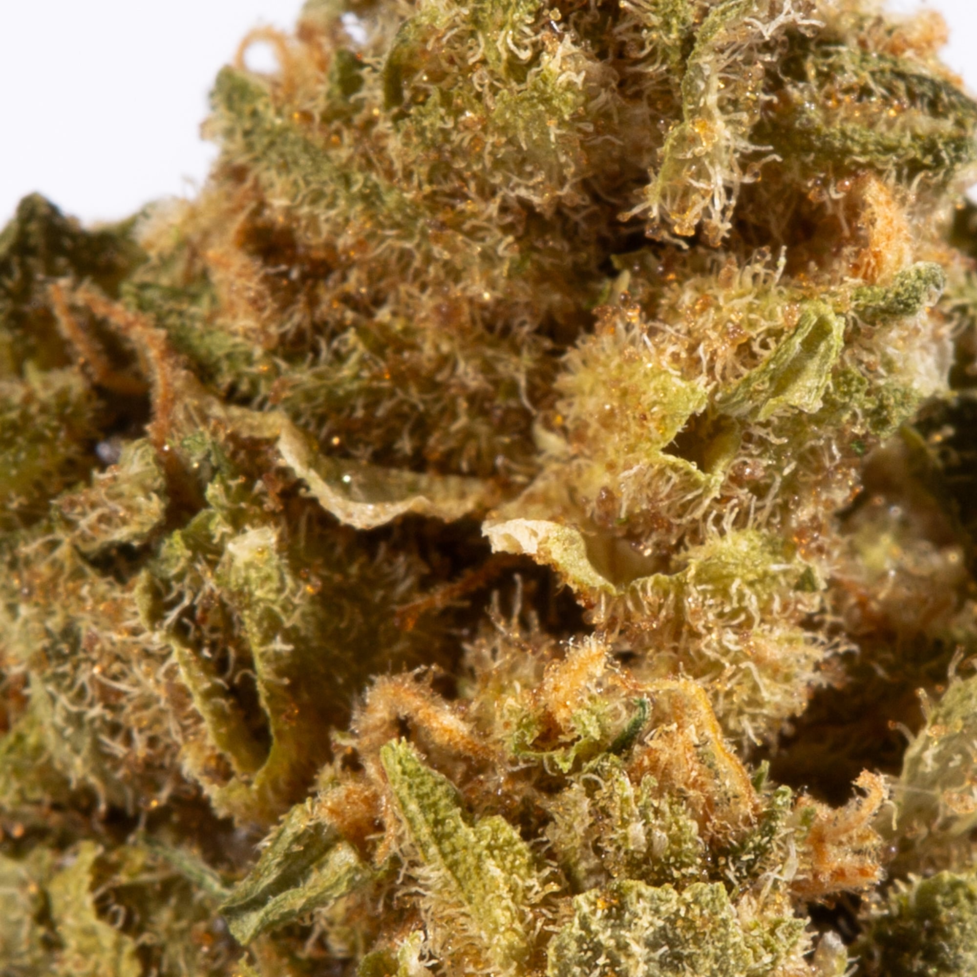 Jack Herer Smalls (AA) - Image 4