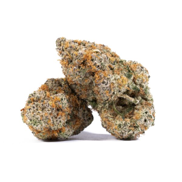 Slurricane (AAAA)