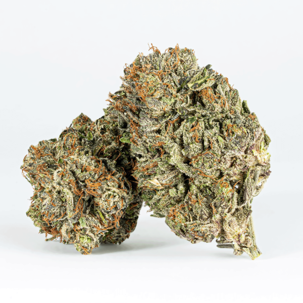 Double Purple Afgooey (AAA+)