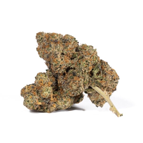 Animal Cookies (AAA)