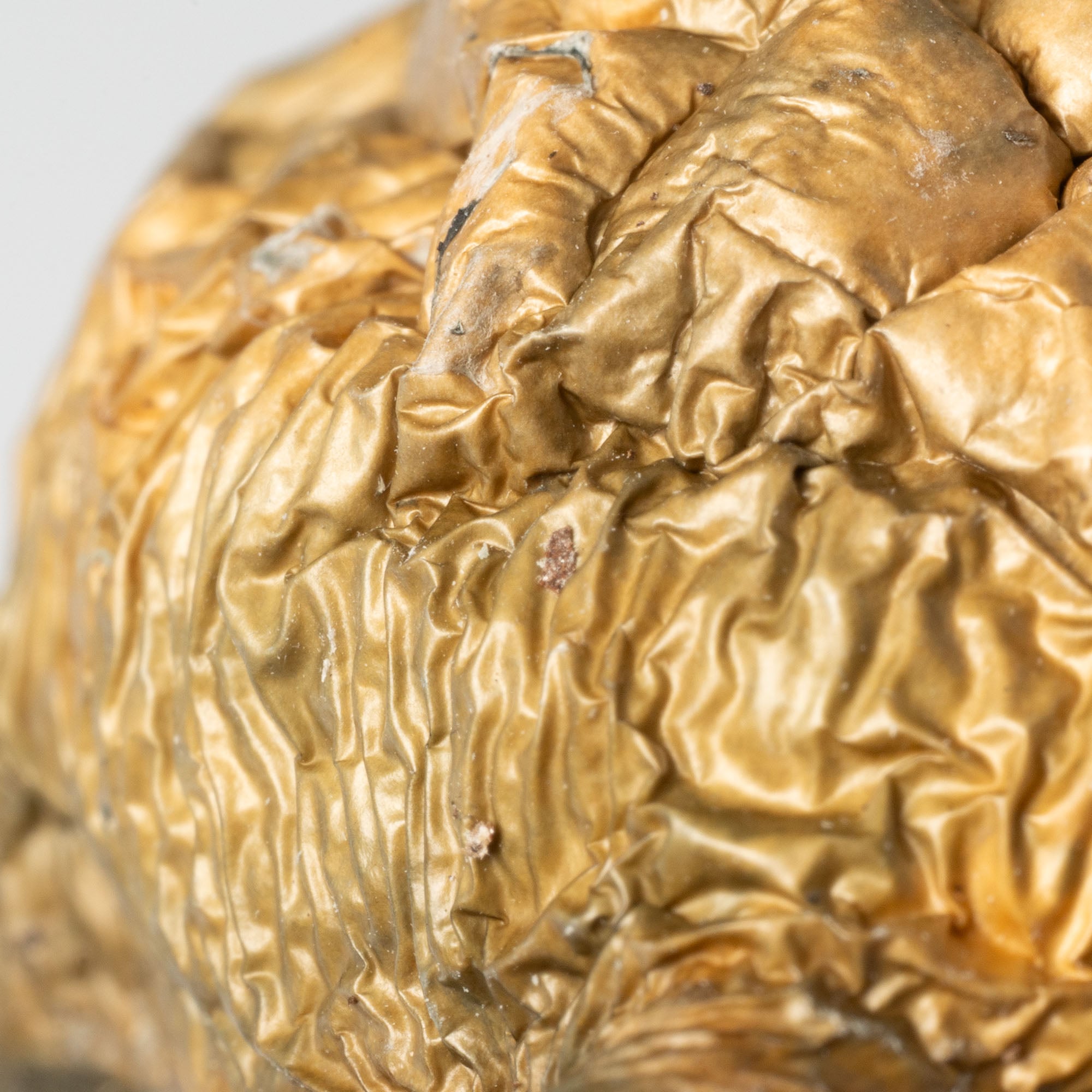 Golden Penis Envy Mushrooms - Image 4