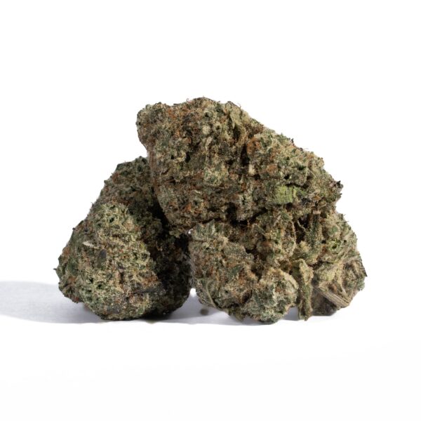 Grey God (AAA+)