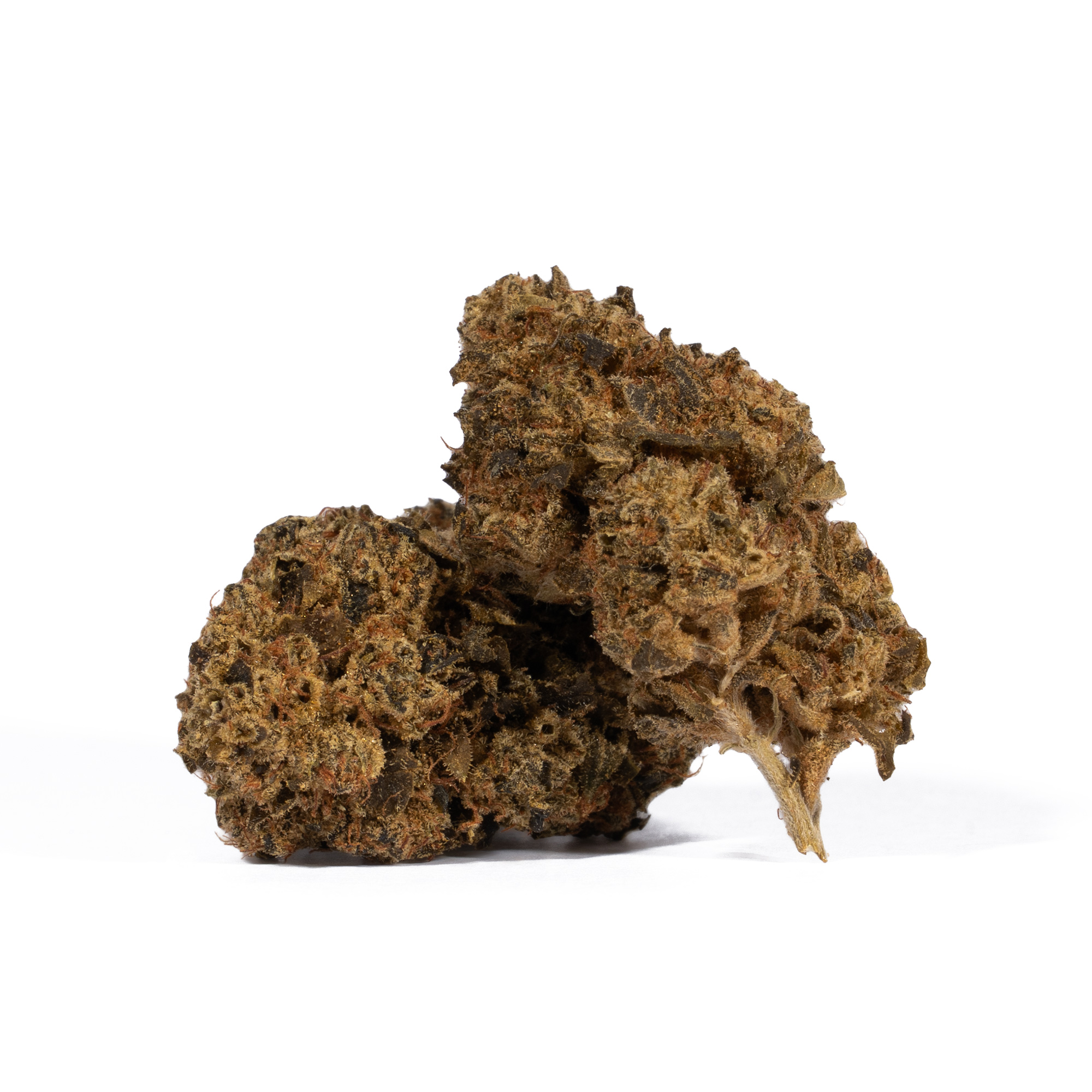 Motor Breath (A) - Image 5