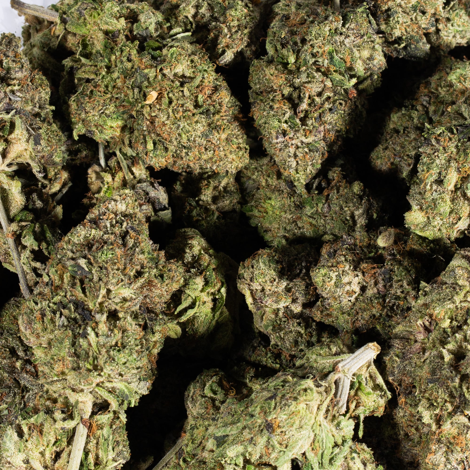 Amnesia Haze (AAAA) - Image 4