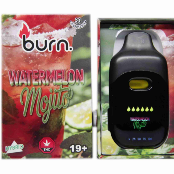 Burn LCD Disposable Vape (3g) - Watermelon Mojito (Hybrid)