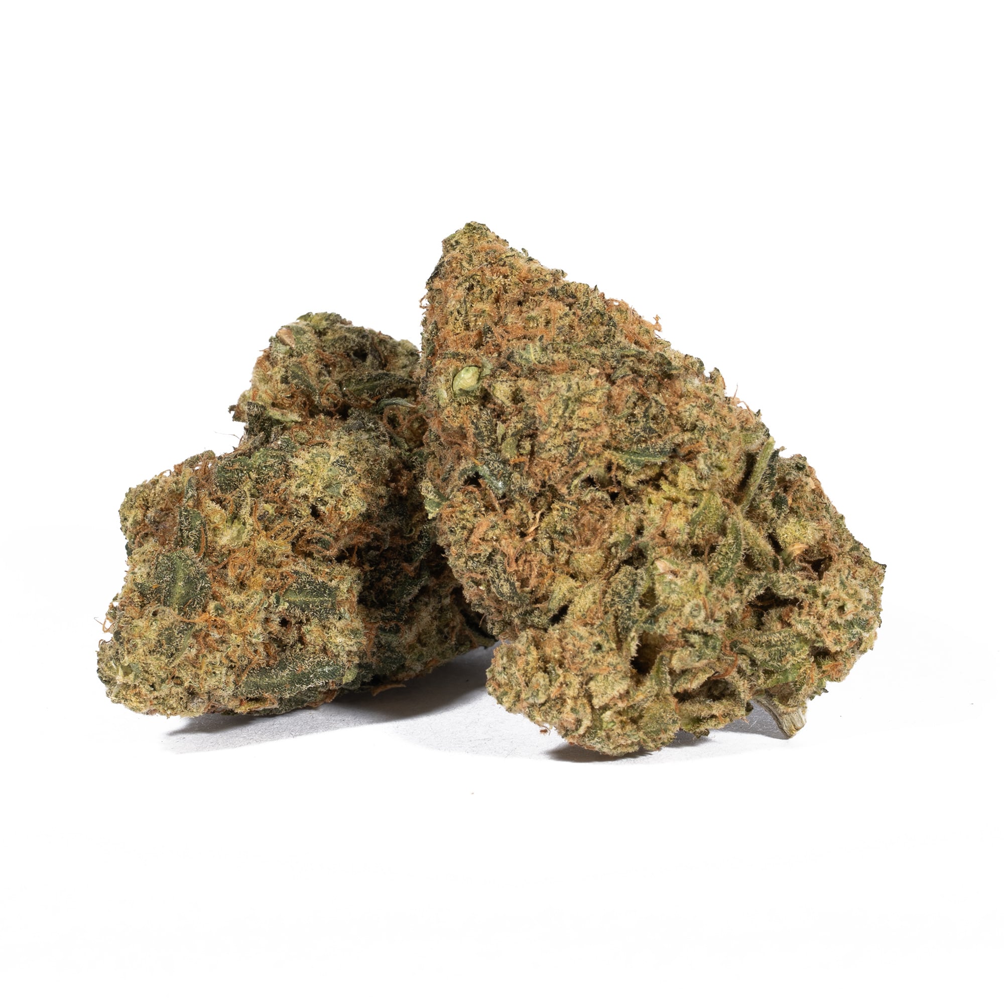 Alaskan Thunder Fuck (AA)