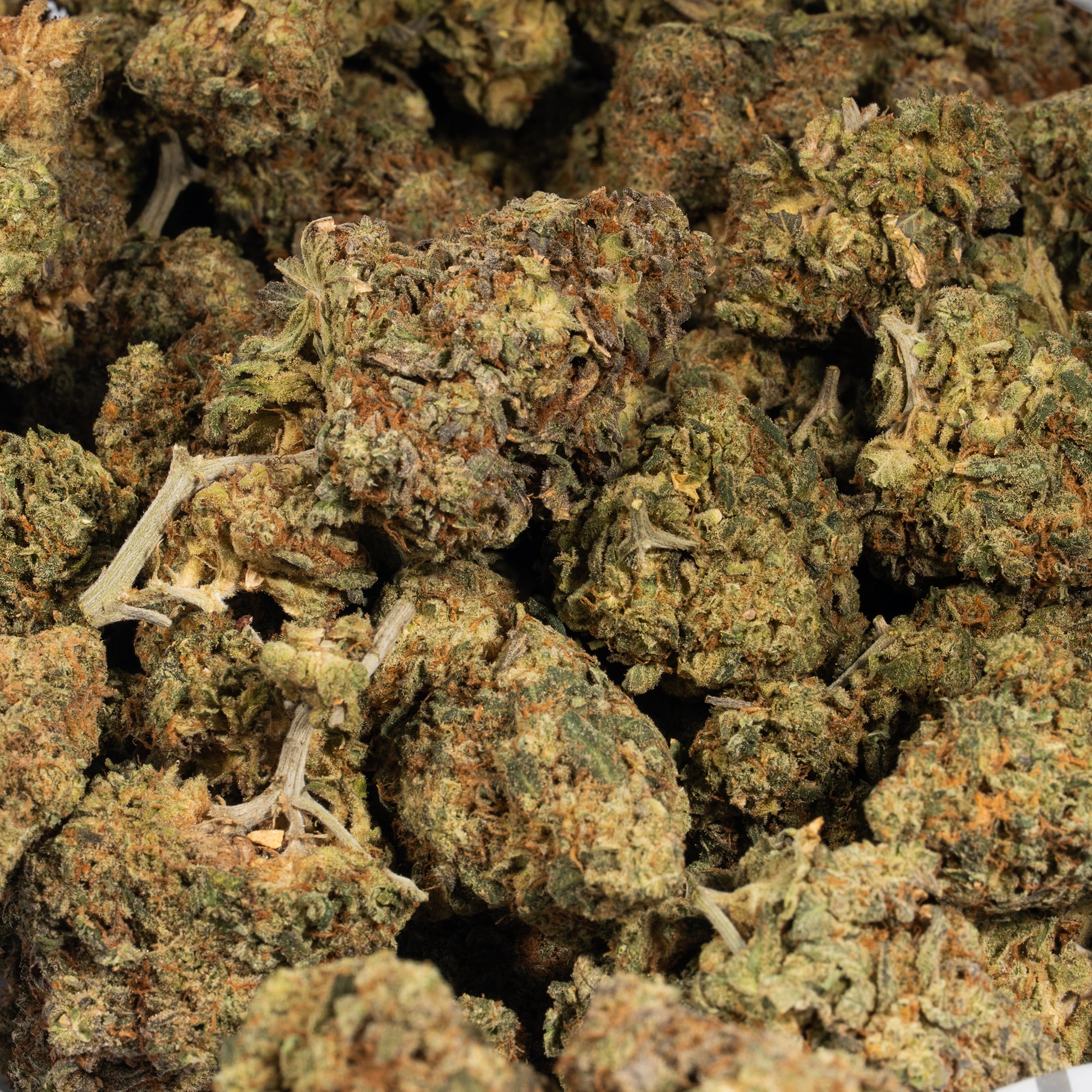 Alaskan Thunder Fuck (AA) - Image 5