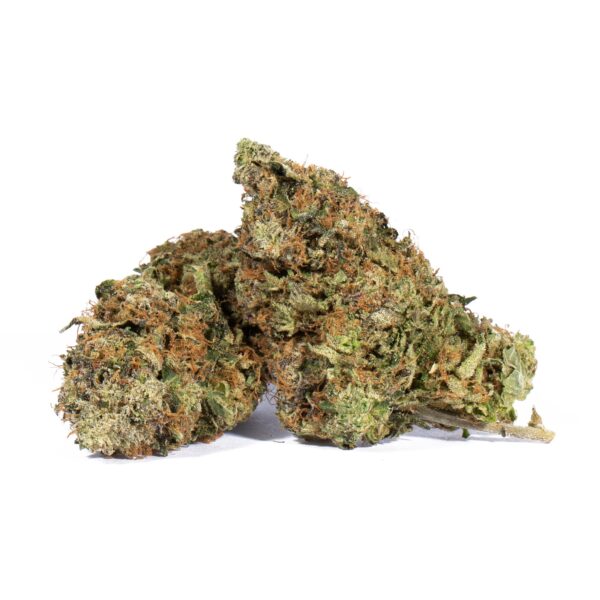 Tropicana Haze (AAAA)