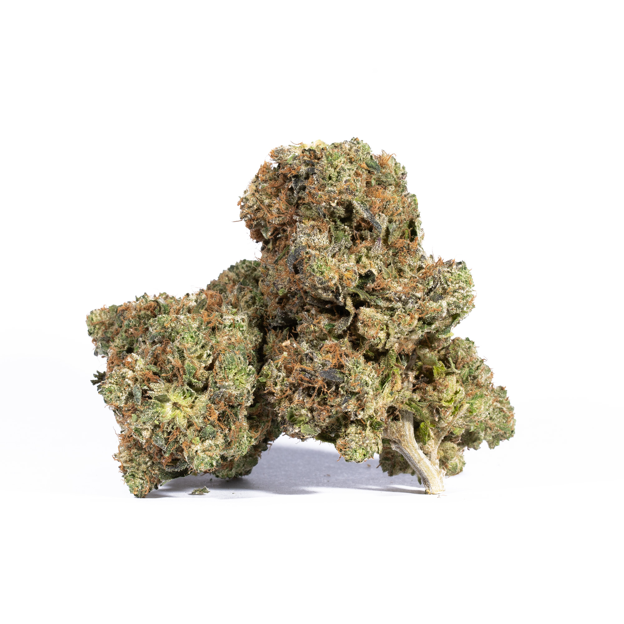 Acapulco Gold (AA+)