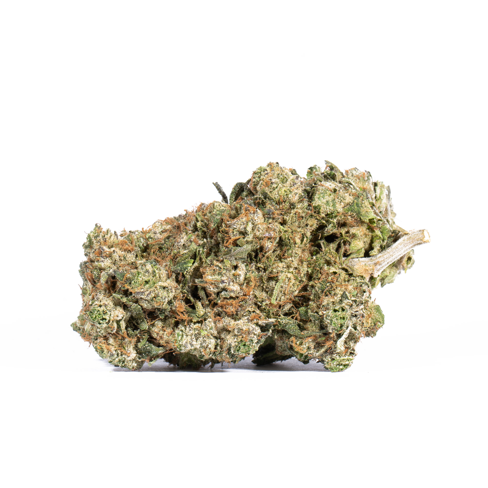 Acapulco Gold (AA+) - Image 2