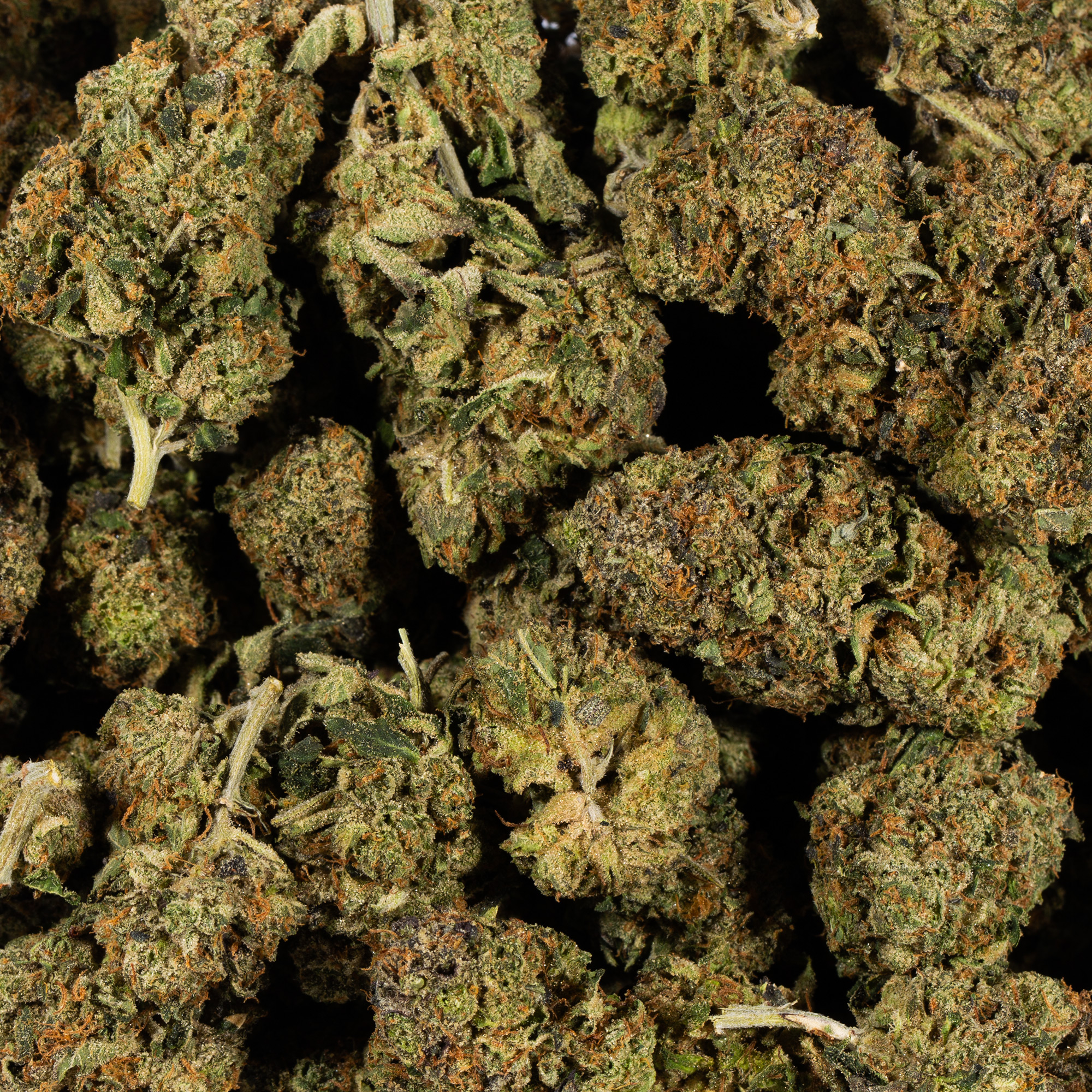 GMO Cookies (AAA) - Image 4