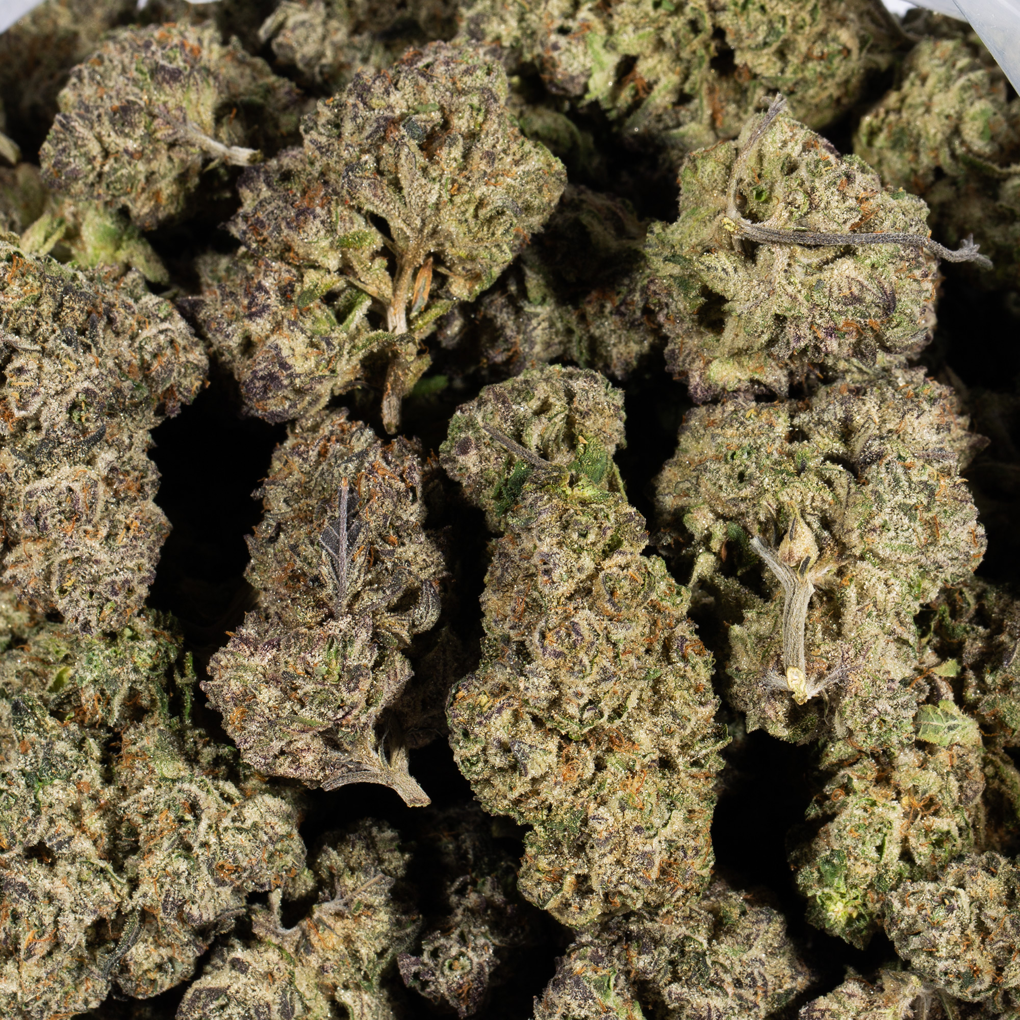 Papaya (AAAA+) - Image 4