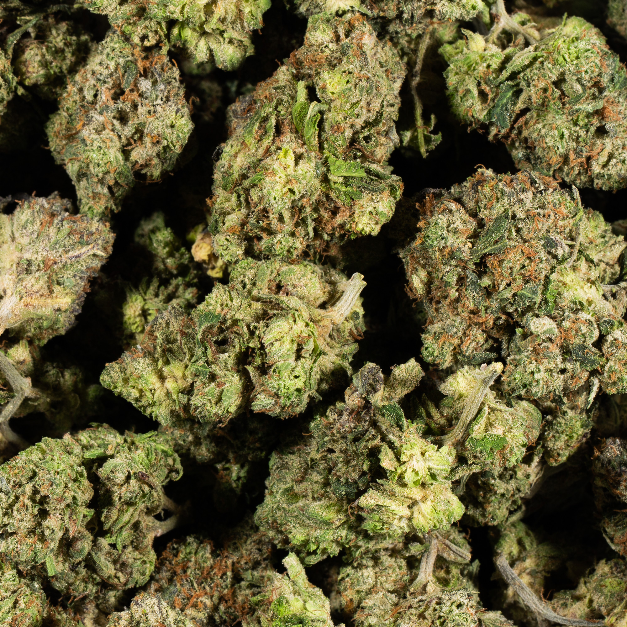 Skywalker OG (AAA) - Image 4