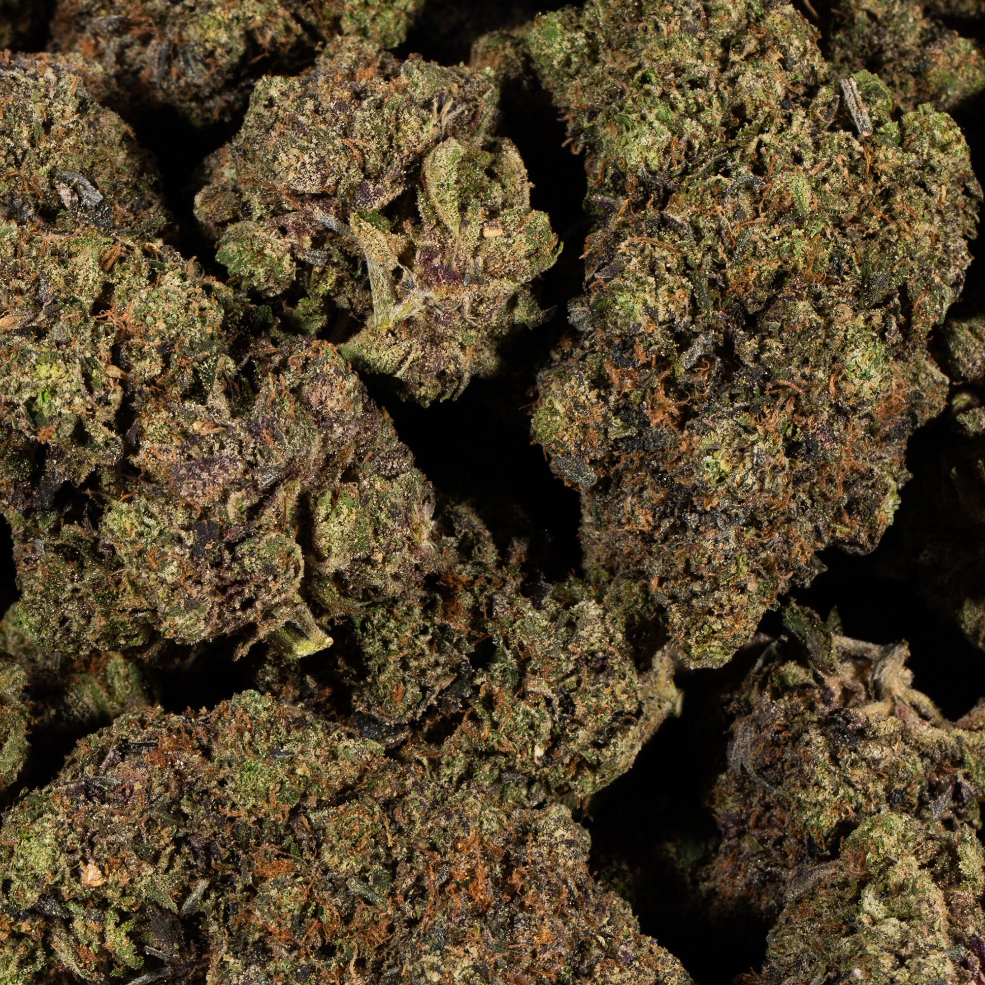 Tom Ford Pink Kush (AAAA) - Image 4