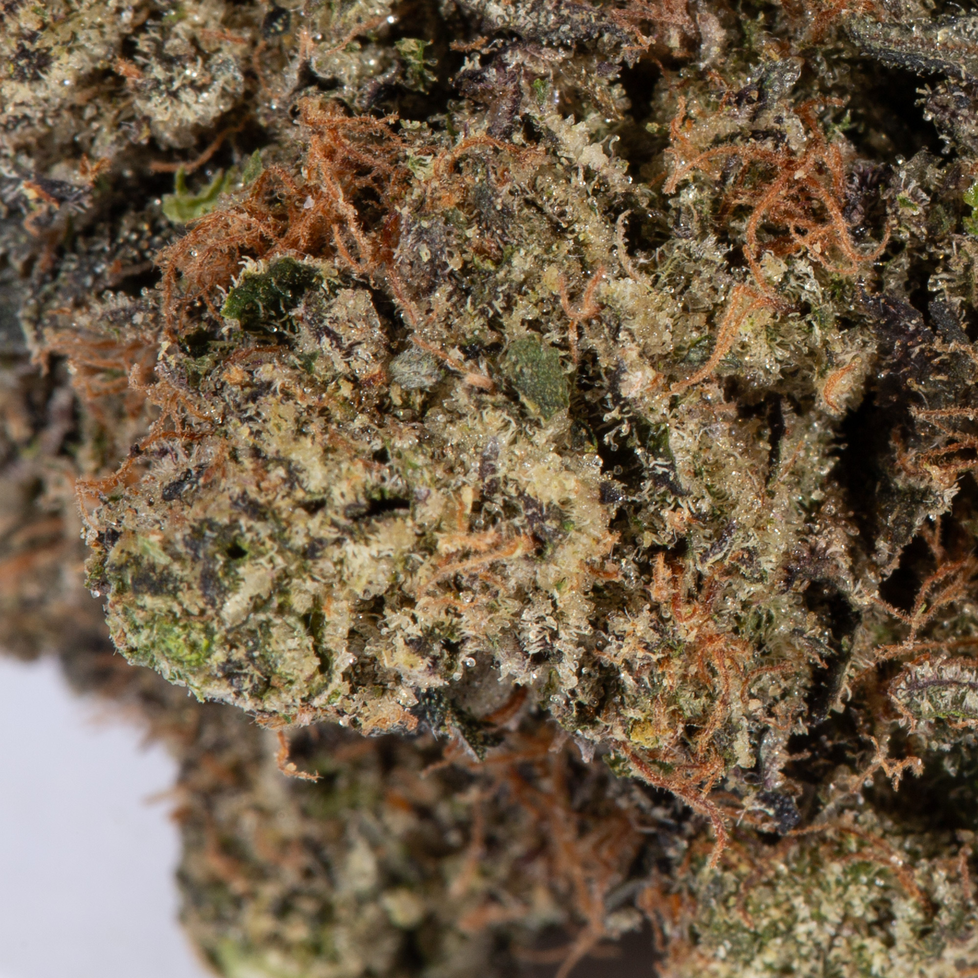 Tom Ford Pink Kush (AAAA) - Image 5