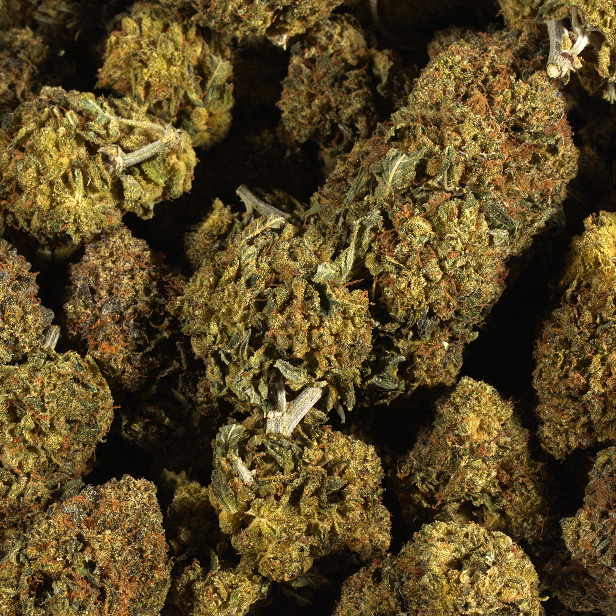 Black Death Bubba (AA) - Image 3