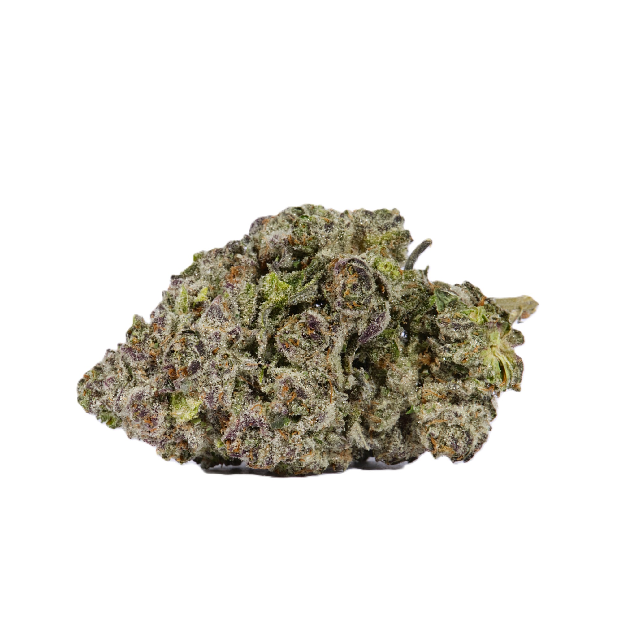 9LB Hammer (AAA) - Image 3