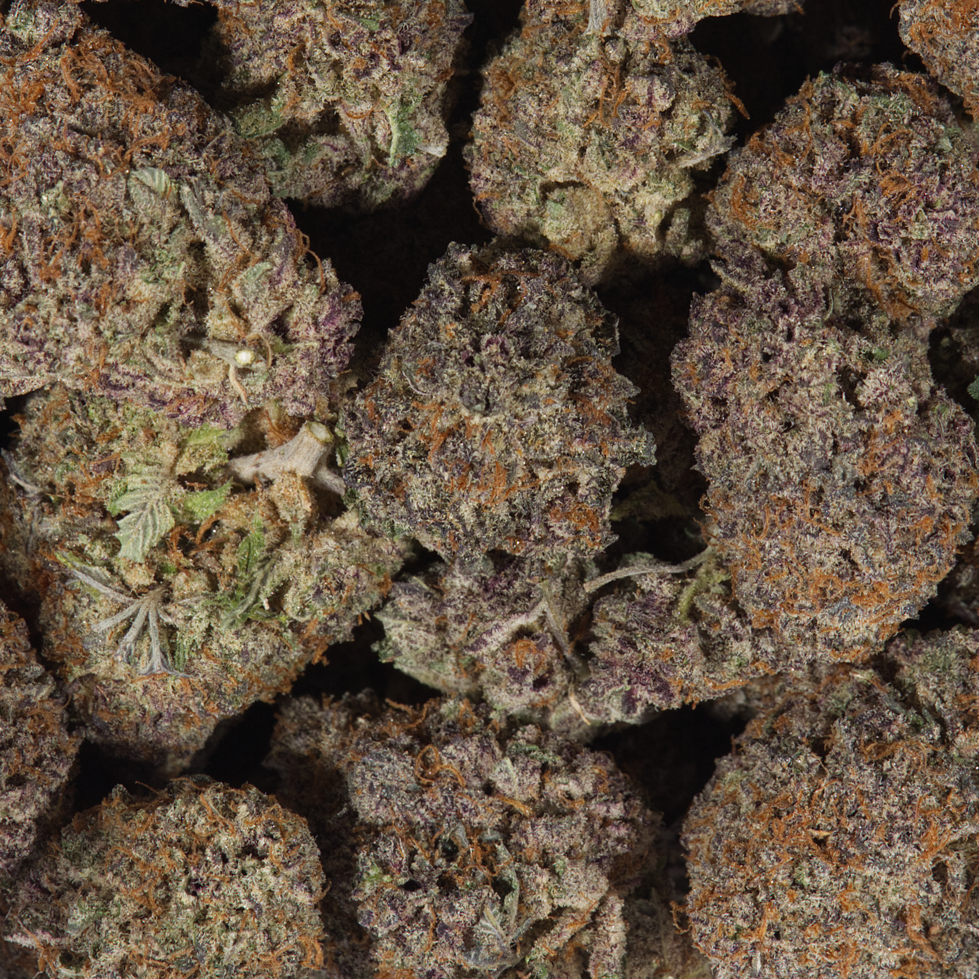 Alien Mints (AAAA) - Image 5