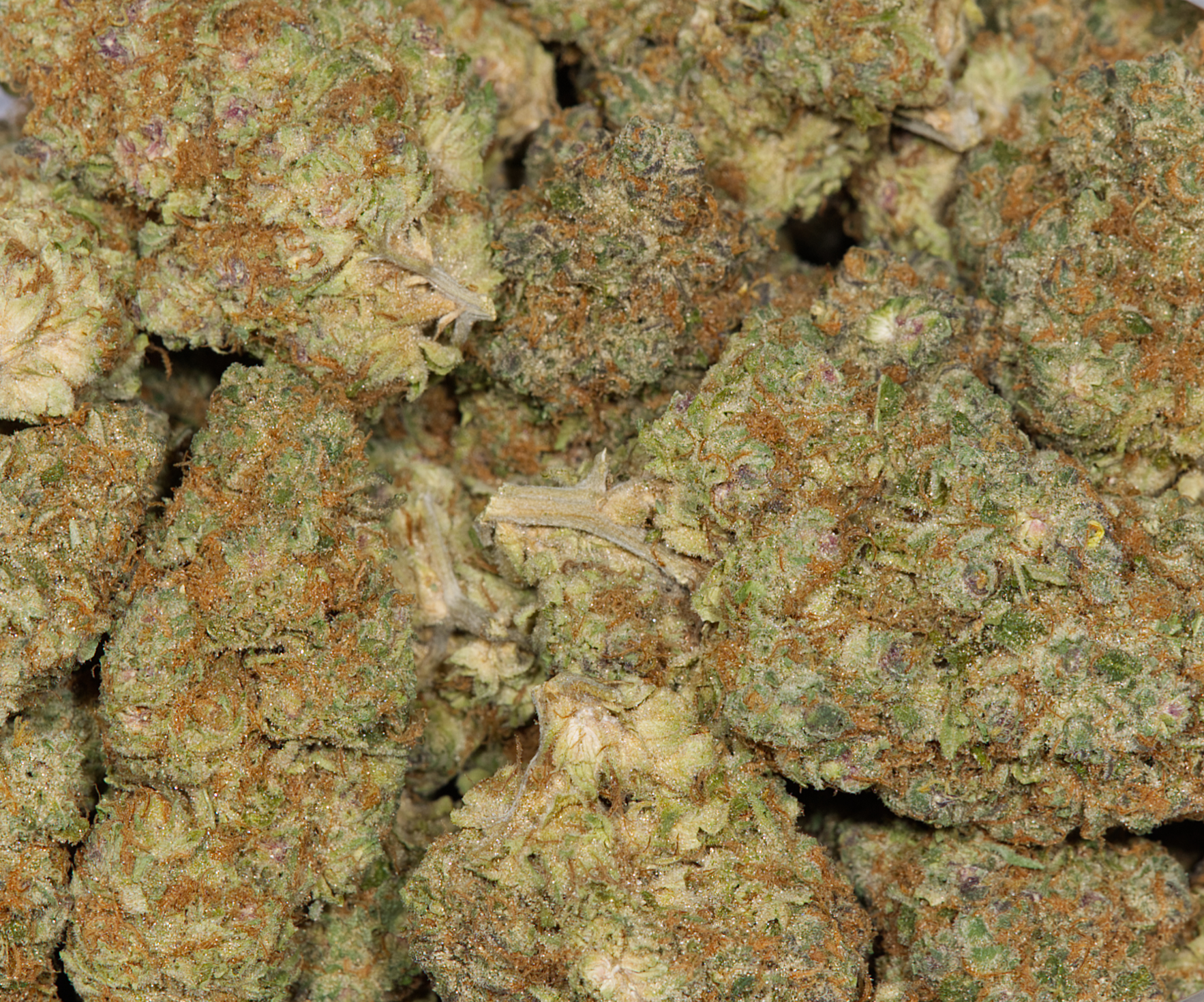 Cinderella 99 (AAA) - Image 2
